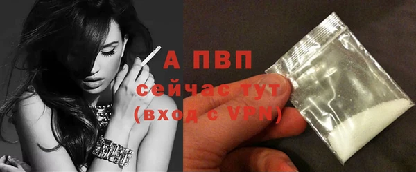стаф Покачи