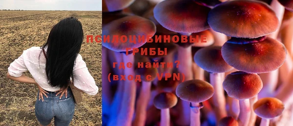 ALPHA PVP Покров