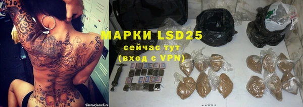 стаф Покачи