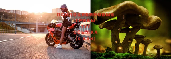 стаф Покачи