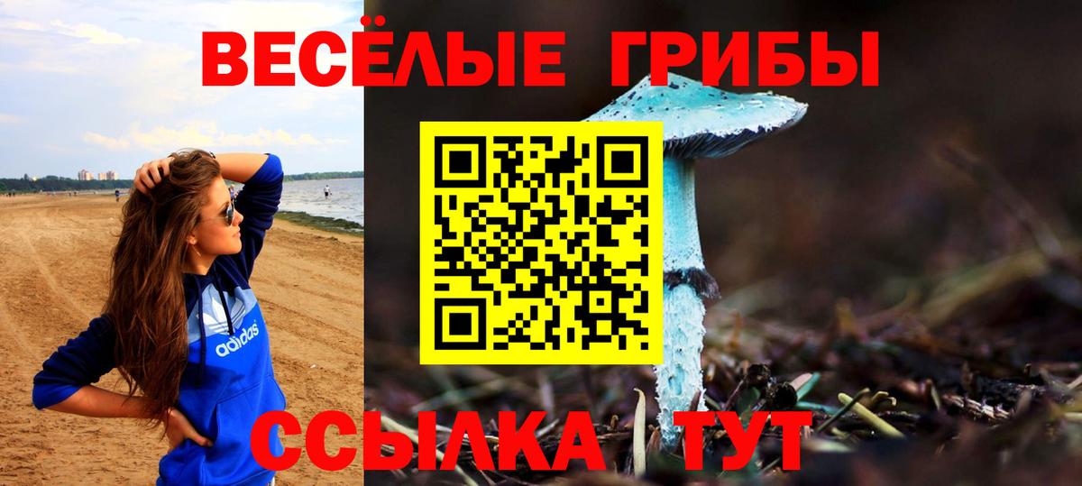 Псилоцибиновые грибы мухоморы  Галлюциногенные грибы GOLDEN TEACHER  Белореченск 