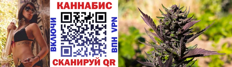 купить наркотики сайты  shop клад  Шишки марихуана Ganja  Белореченск 
